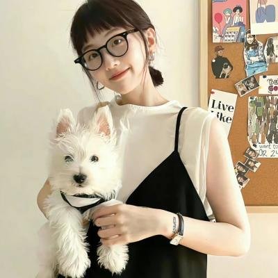东北老炮儿2